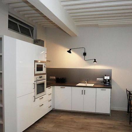 55 M2 Apart With Big Terrace In Annecy Downtown 外观 照片