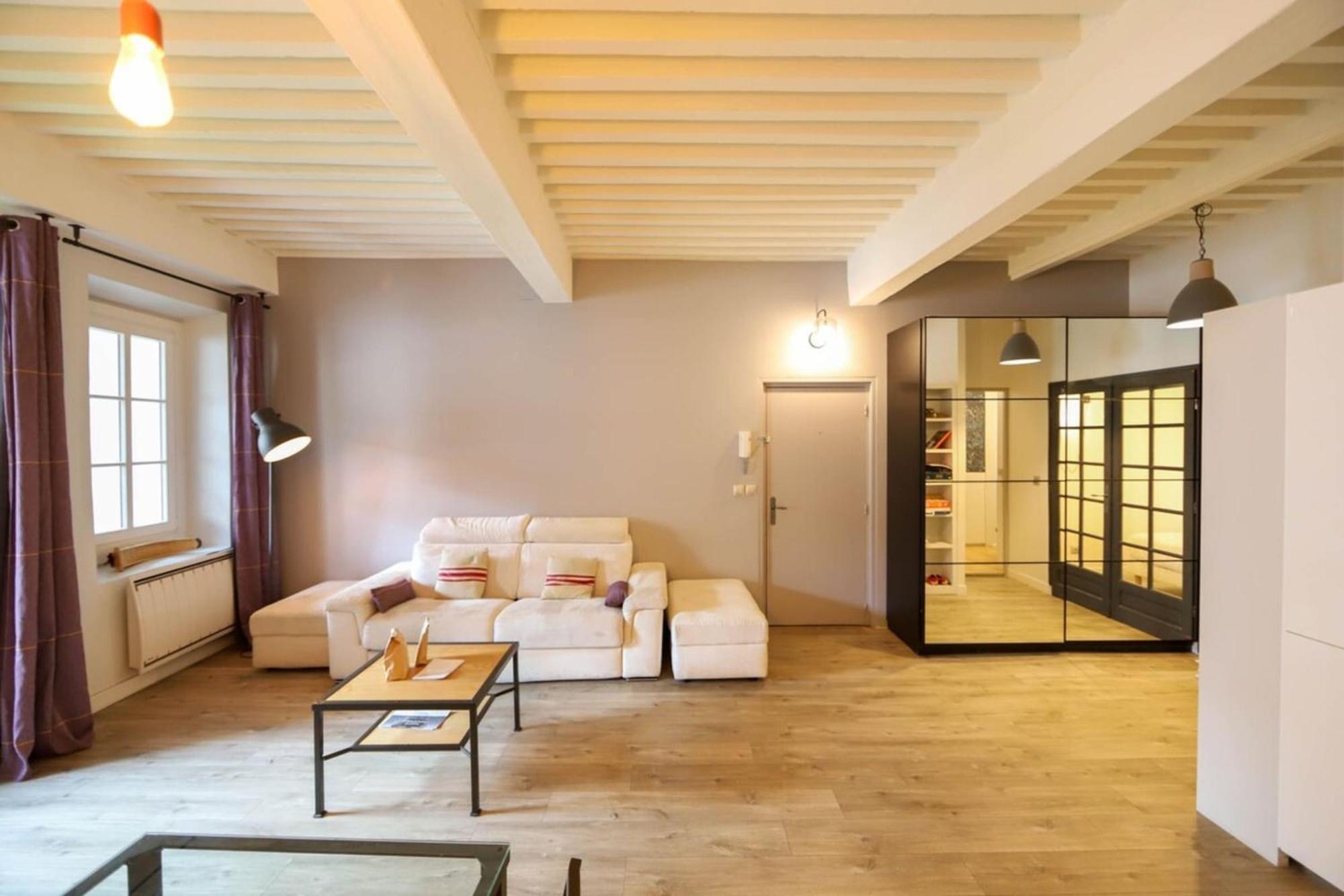 55 M2 Apart With Big Terrace In Annecy Downtown 外观 照片