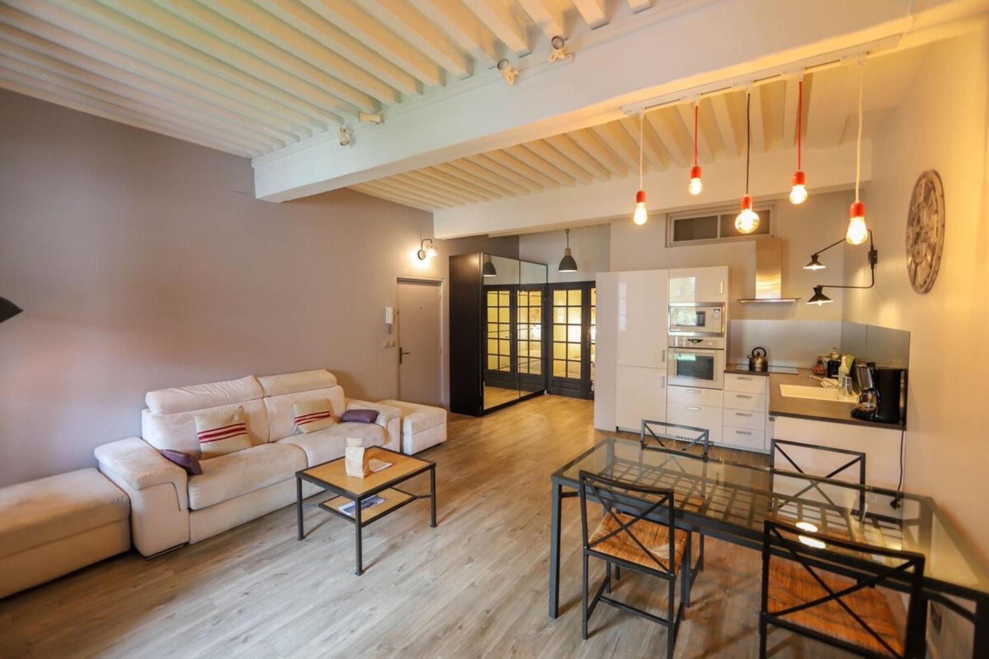 55 M2 Apart With Big Terrace In Annecy Downtown 外观 照片